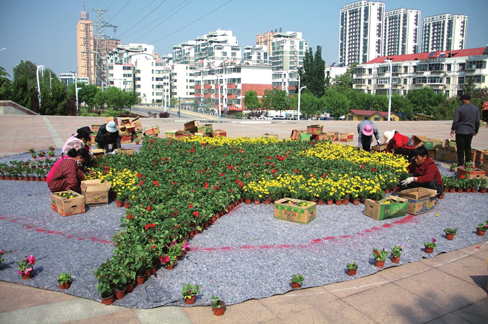 户外草花造型图片大全图片